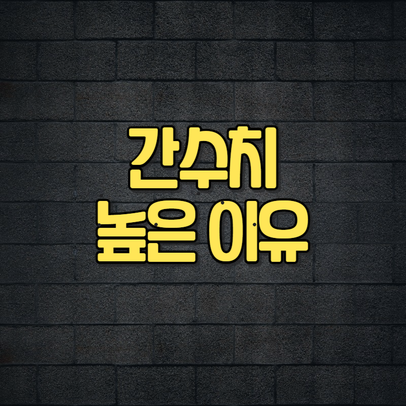 간수치 높은 이유