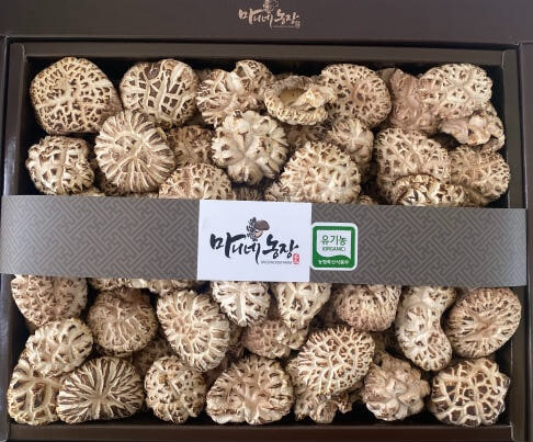오늘N 가족이 뭐길래 솔향 가득 자연이 키운 마니네농장 유기농표고버섯