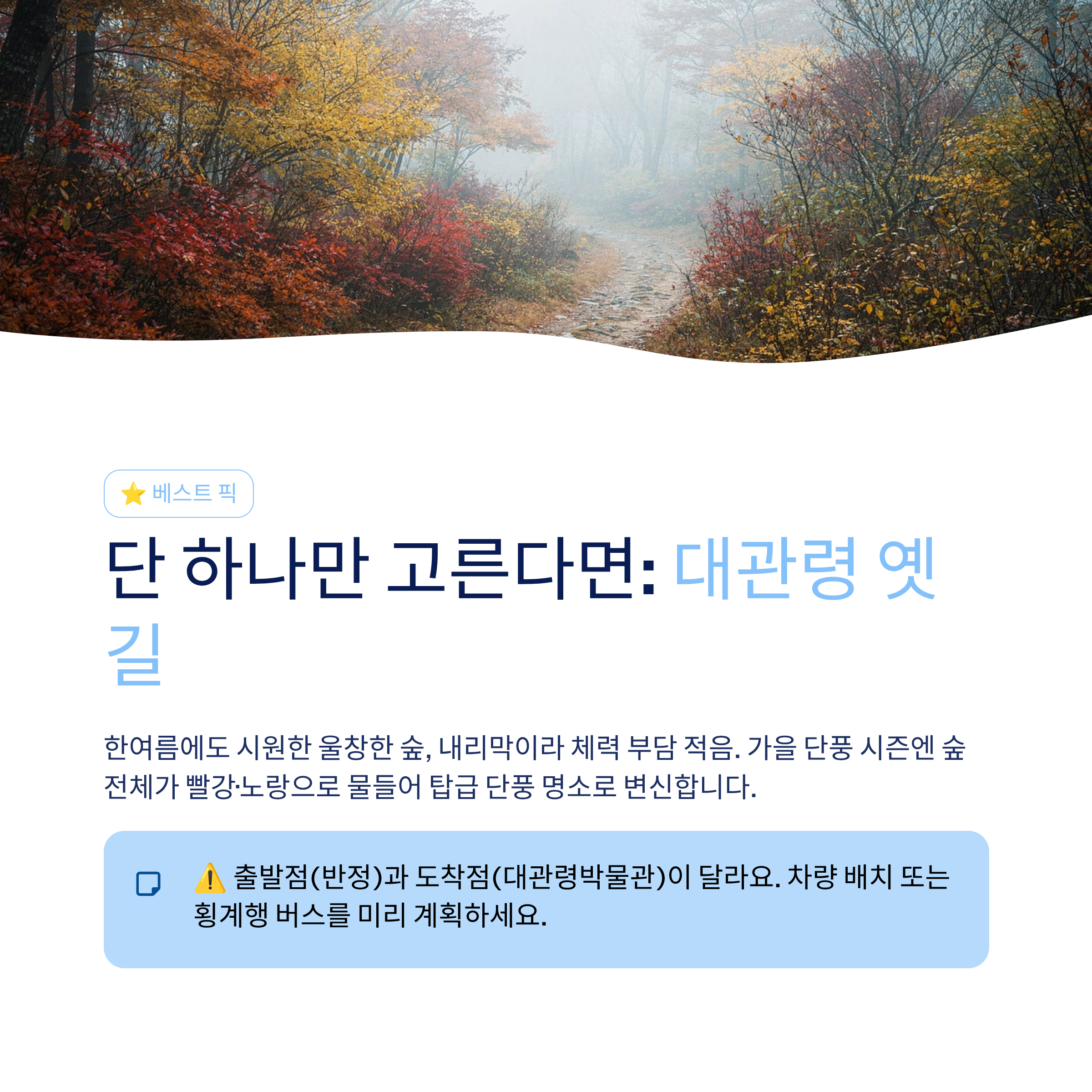 강릉 근교 산책 달리기 트레킹 코스 추천 ❘ 바다와 소나무 숲 사이를 걷는 법