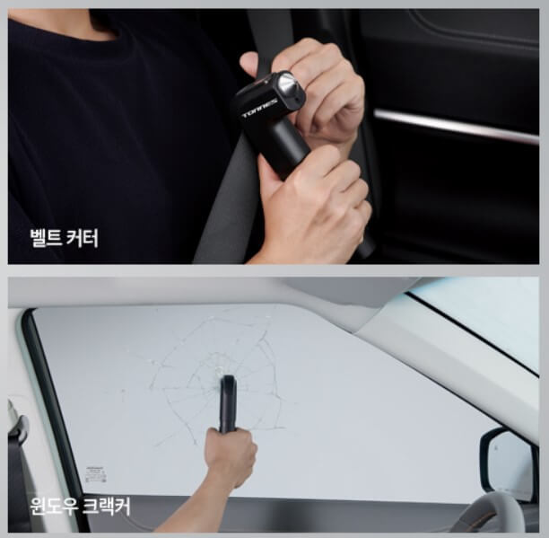 토레스 EVX 가격