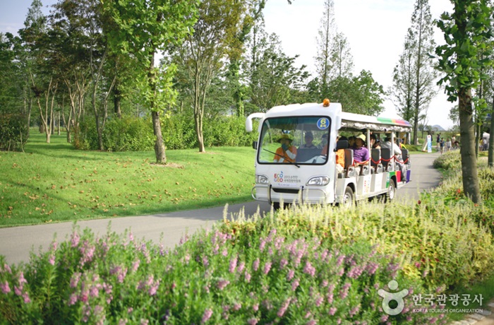 순천만 국가정원 (출처:한국관광공사)