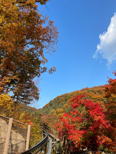 2023 화담숲 사진3