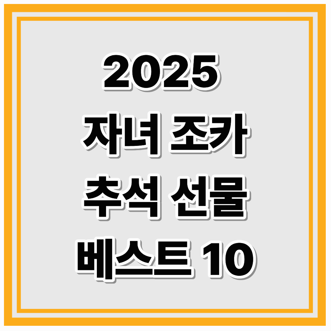 2025년 자녀·조카 추석 선물 BEST 10 추천