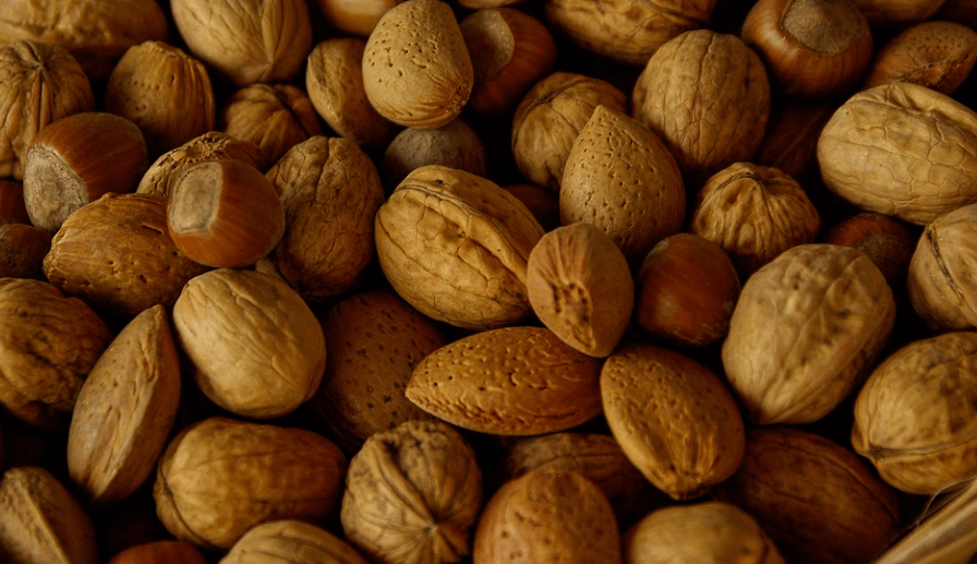 귀에 좋은 음식 여러가지 견과류