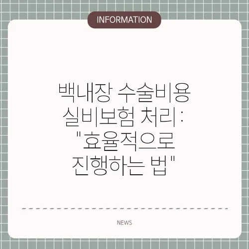 백내장 수술비용 실비보험 처리: 