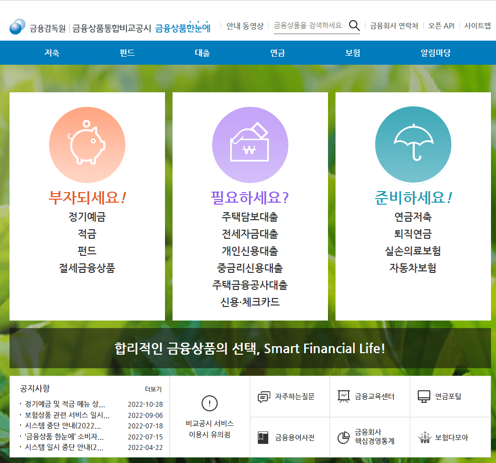 금융감독원 홈페이지