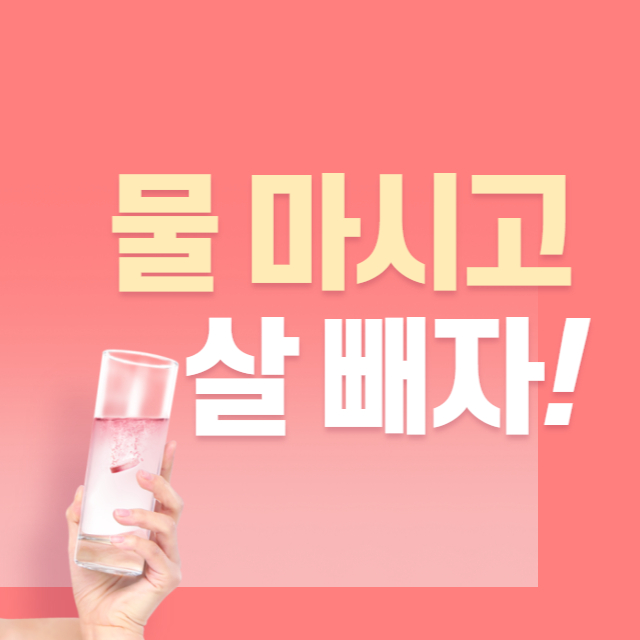 물 다이어트