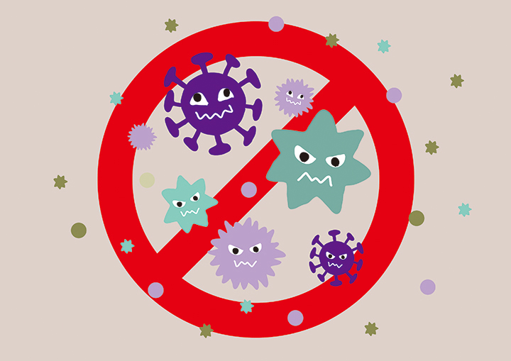 강력한-항산화-작용을-하는-케일