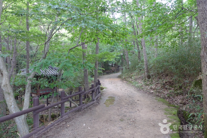 영암 가볼만한곳 베스트10