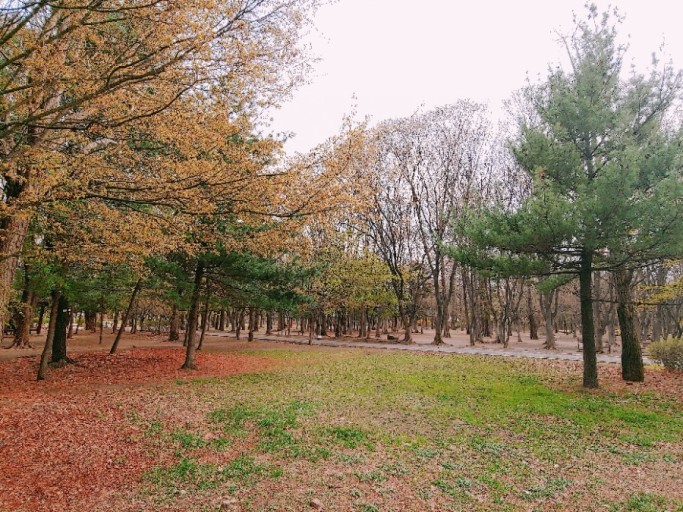 단풍여행지