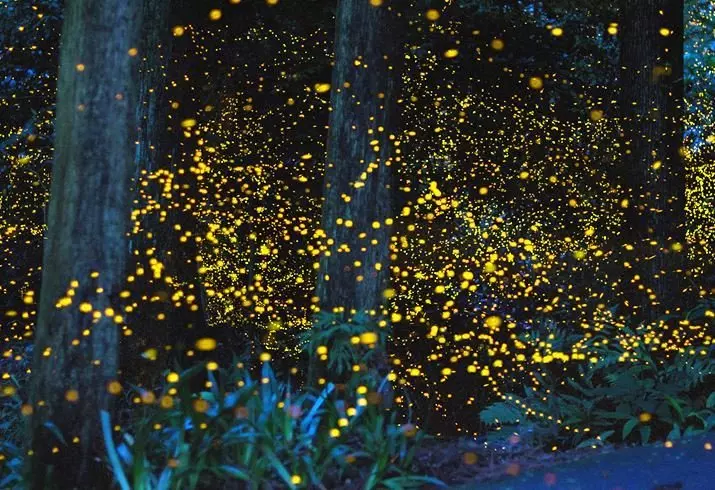 8월여행지-코타키나발루2