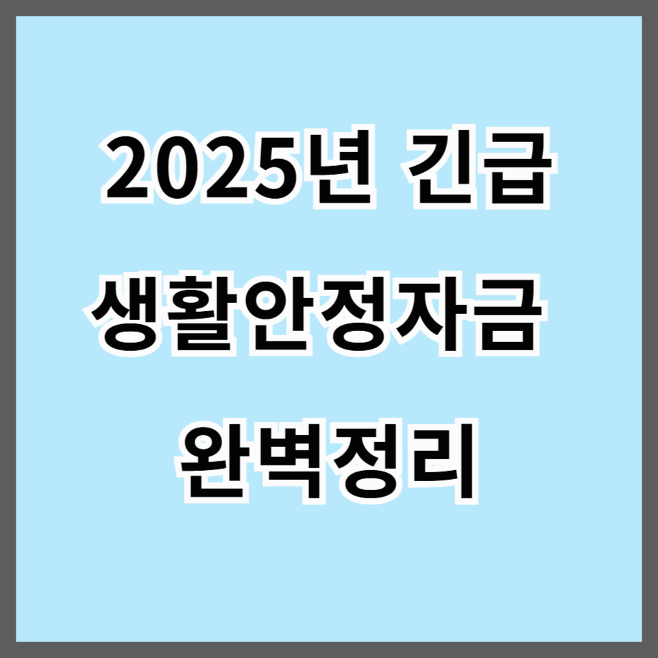 2025년 긴급 생활안정자금 완벽정리|연체자도 가능한 정부지원 대출제도 안내