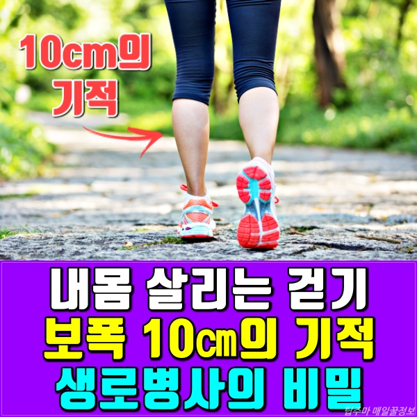 생로병사의 비밀, 보폭 10cm 더 넓혀 걷기 운동 효과, 건강, 팁줌마 매일꿀정보