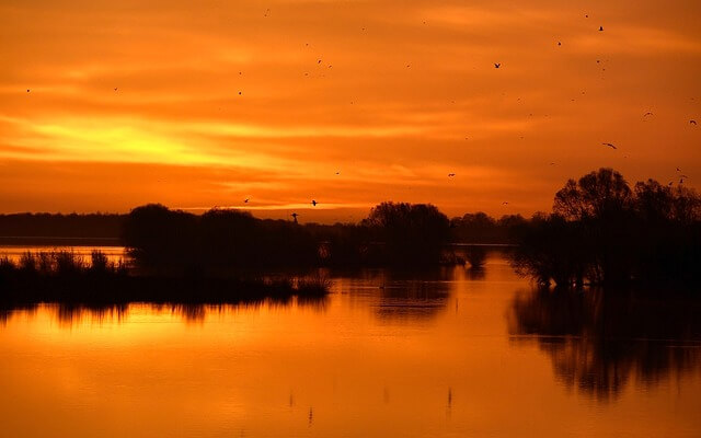 추암 촛대바위 해돋이｜새해 일출&middot;관람포인트 총정리