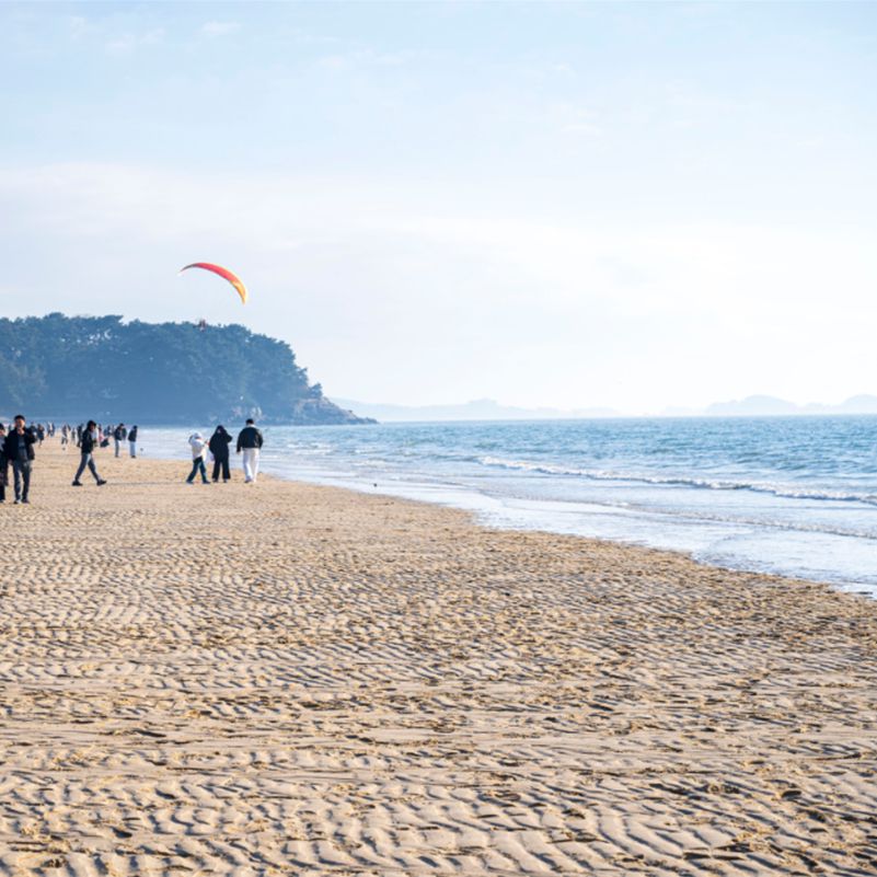 보령 가볼만한곳 베스트10 대천해수욕장