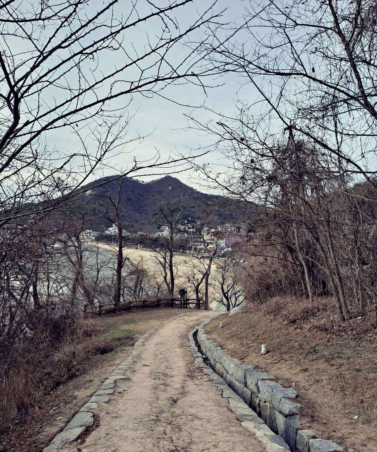해변으로 내려가는 길 아무도 없음