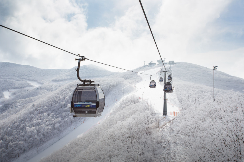 하이원 스키장2