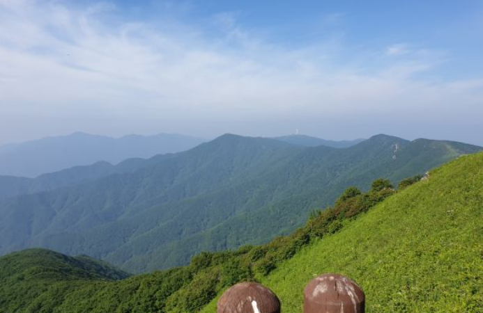 2025 가을 소백산 단풍 절정 & 등산코스 가이드 ❘ 비로봉·천동 코스·주차장 정보