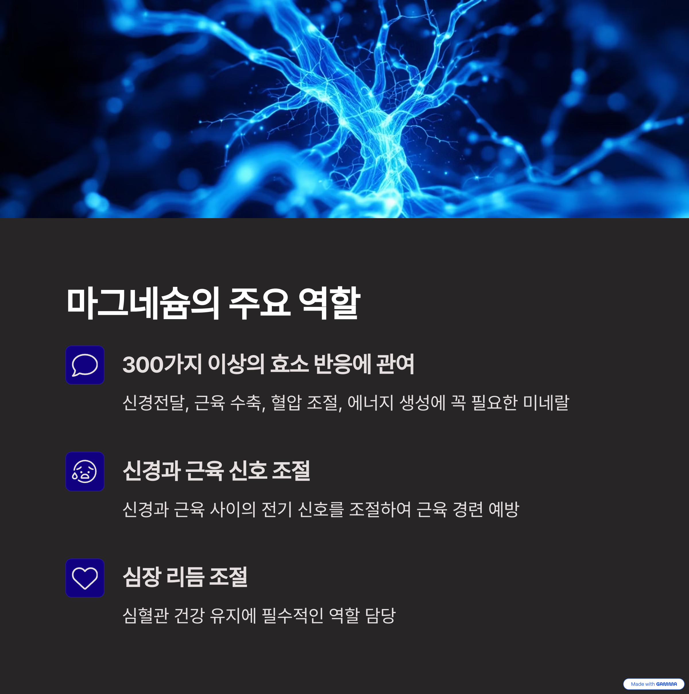 마그네슘이 몸 내부에서 퍼지는 듯한 사진