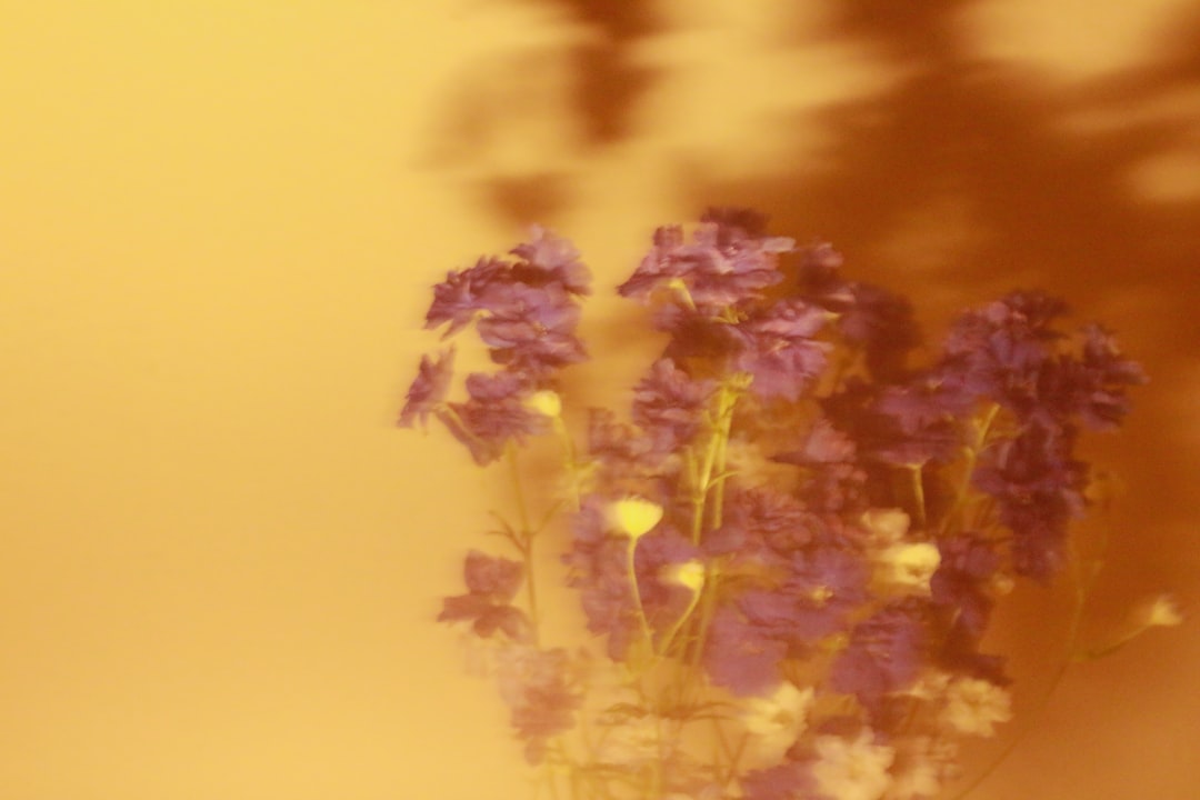 fluctuate