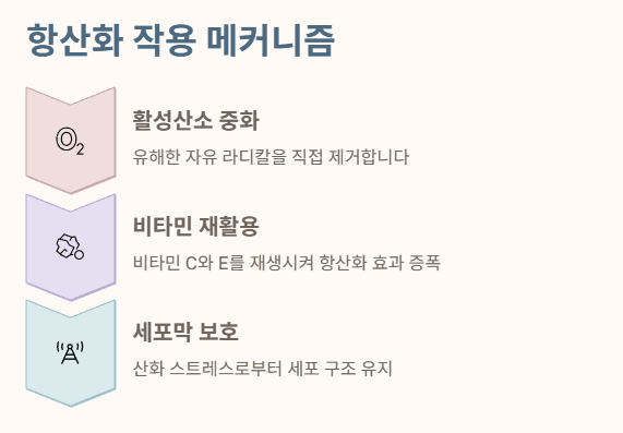 글루타치온 효능