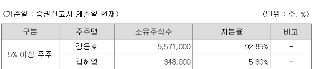 이닉스 지분구조