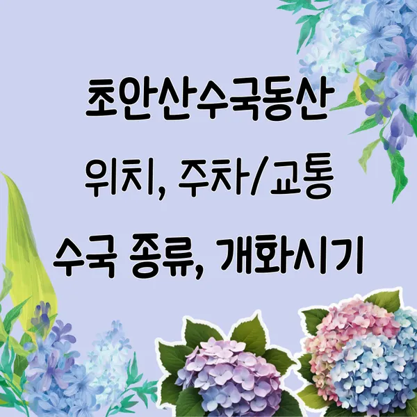 초안산수국동산