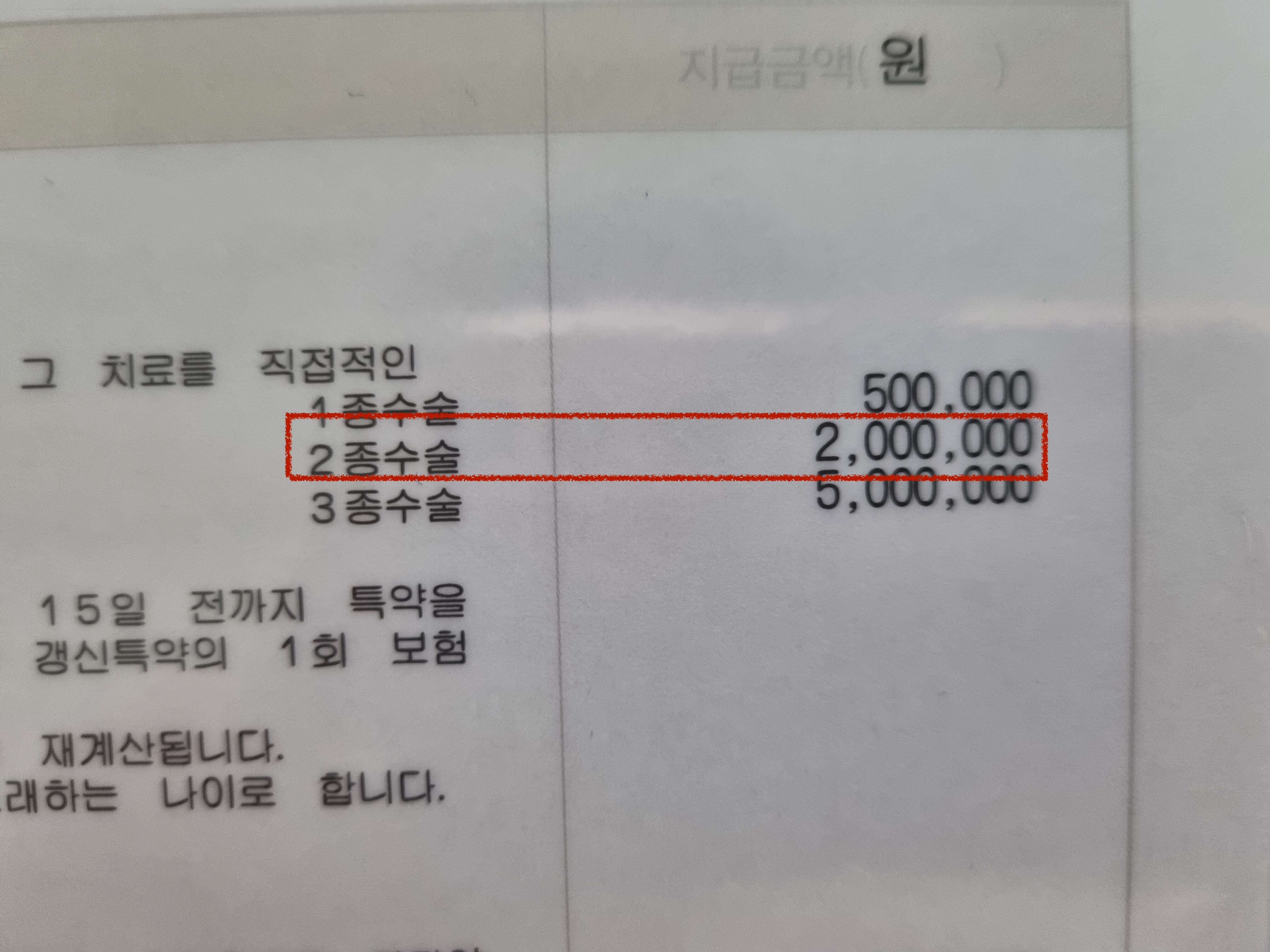 치조골-이식-보험청구