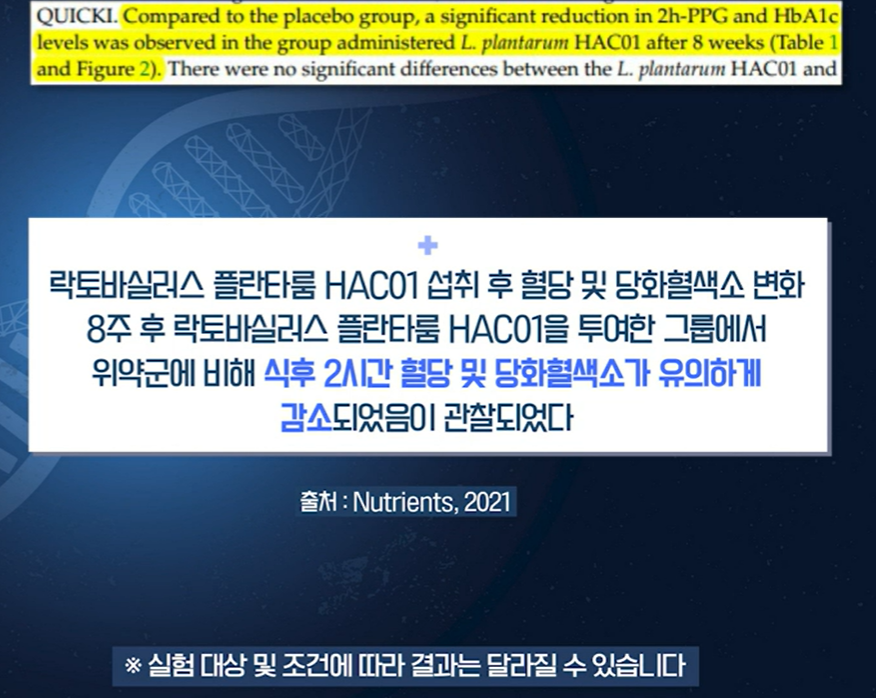 혈당 유산균