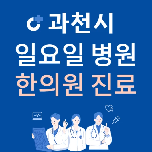경기도-과천시-일요일-한의원-진료하는곳-주말에-문여는-과천시-24시간-한방병원-찾기