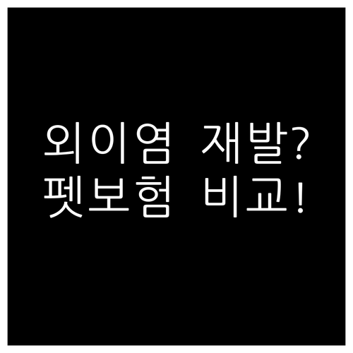 반려견 외이염 재발 걱정된다면 펫보험..
