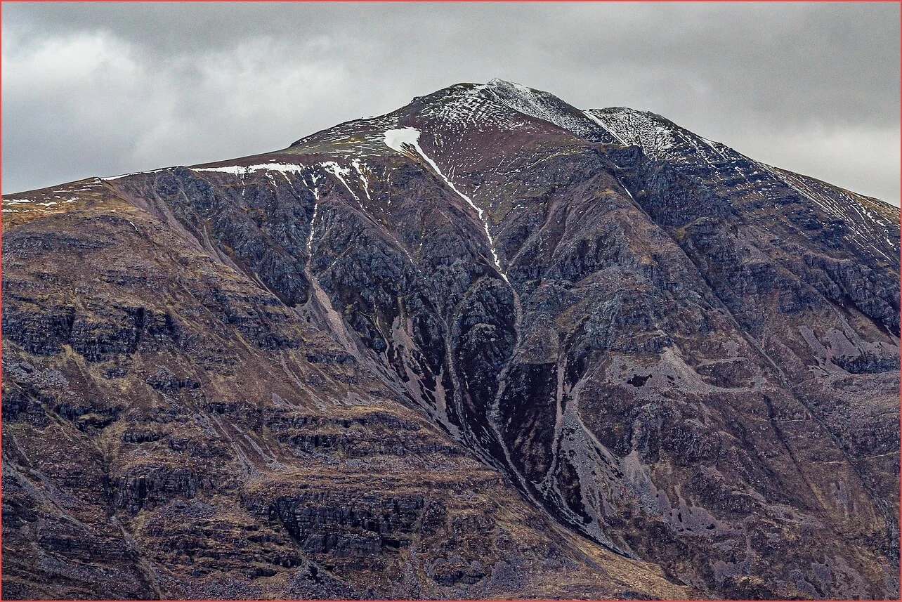 농협 정기예금 금리