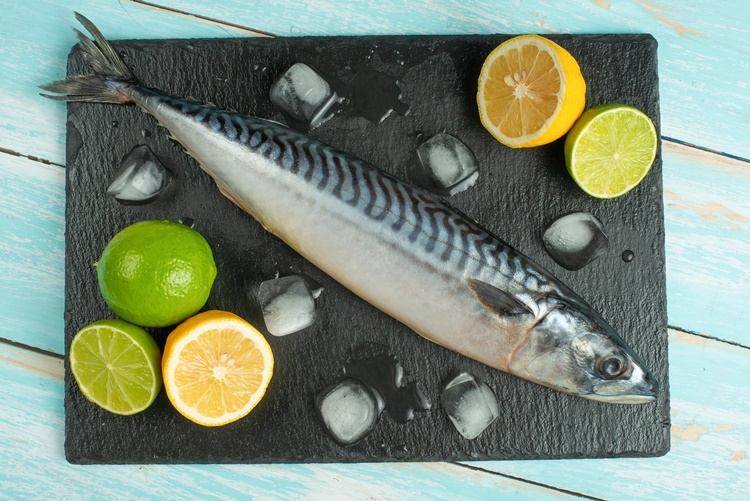 삼치의 효능 및 부작용