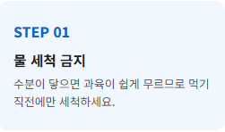 포도 종류
