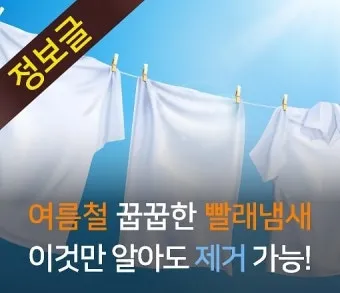 여름철 빨래 쉰내 곰팡이 완벽 제거 식초 소독 꿀팁과 세탁법 베스트 관리_11
