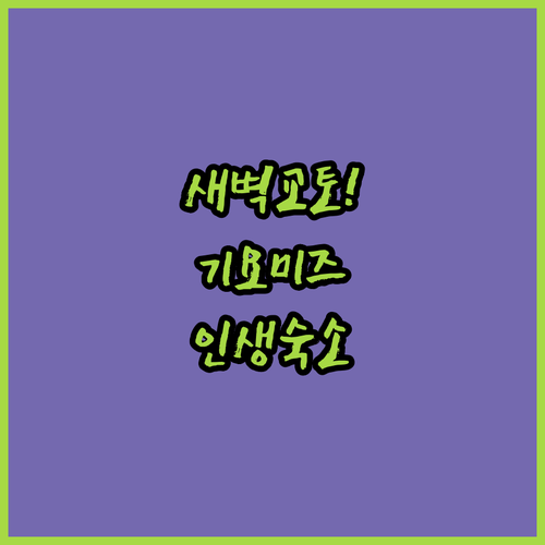 교토 기요미즈데라 새벽 산책 루트와 ..