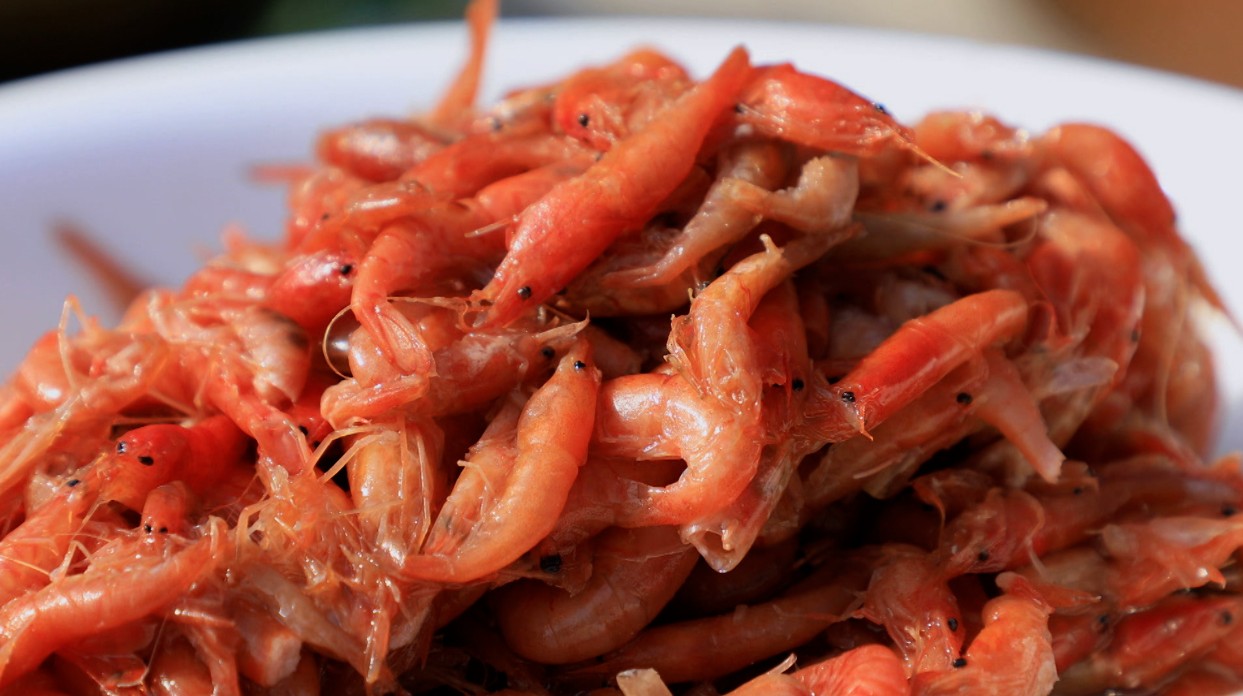 한국기행 발효식탁 전남 장흥 토하젓