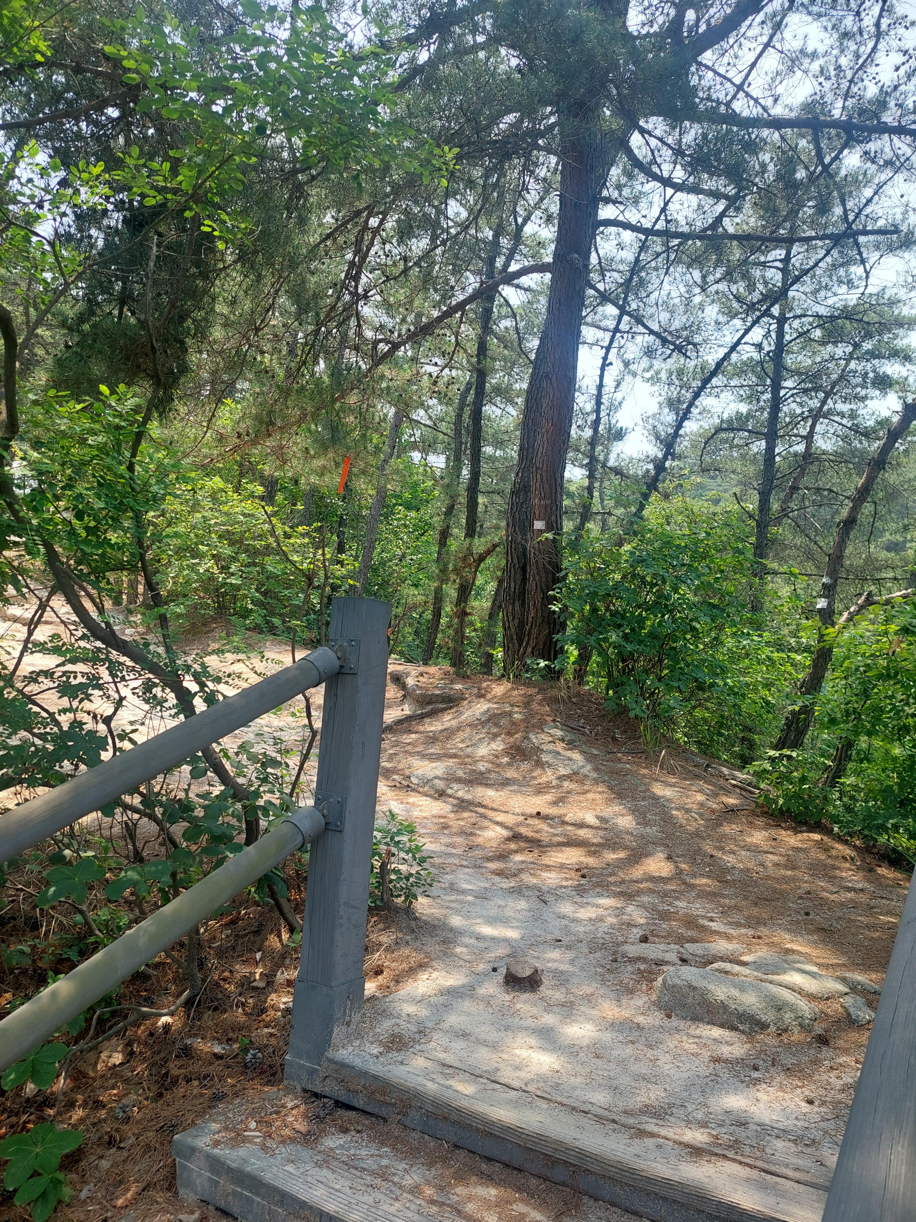 호암산