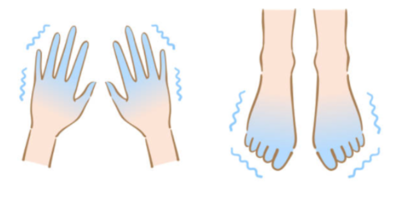 수족냉증의 원인