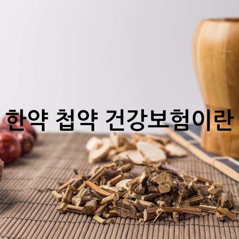 2025년 달라진 한약 첩약 건강보험 정책