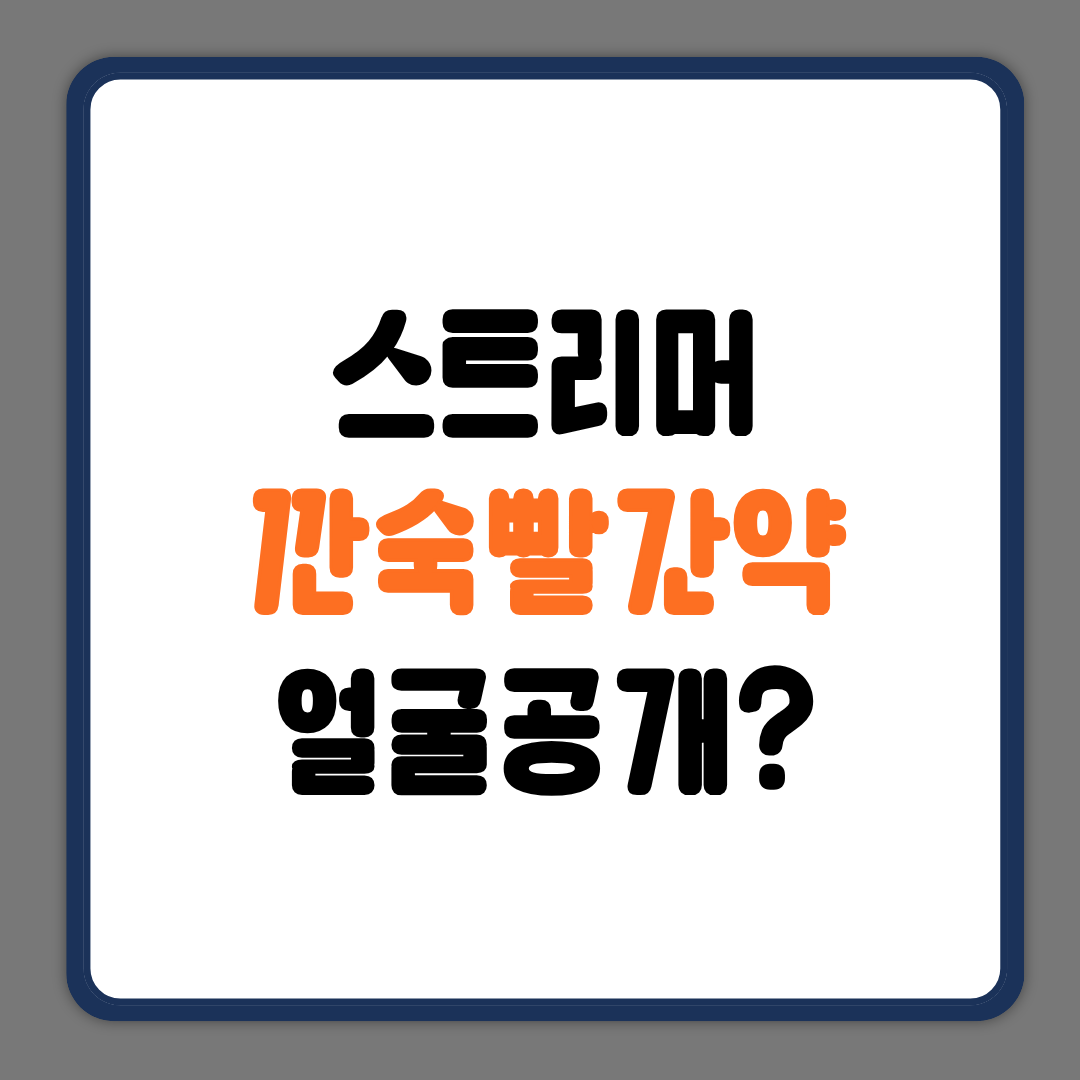 스트리머 깐숙발깐약