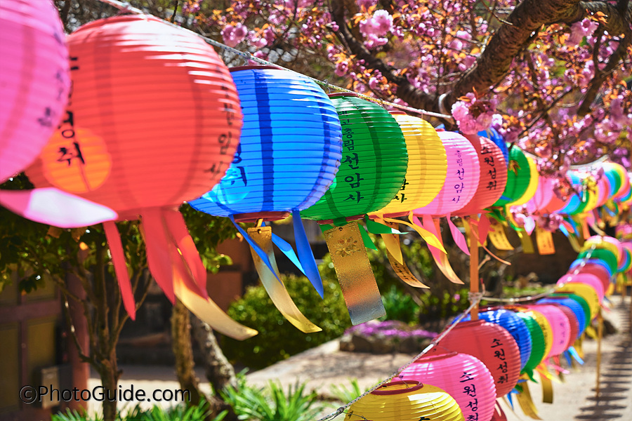 순천-선암사-포토가이드