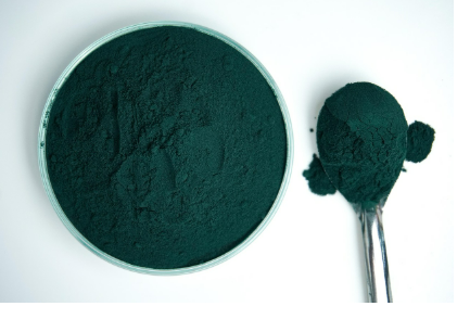 파도 위의 보물, 해조류가 열어가는 미래 식탁 이야기