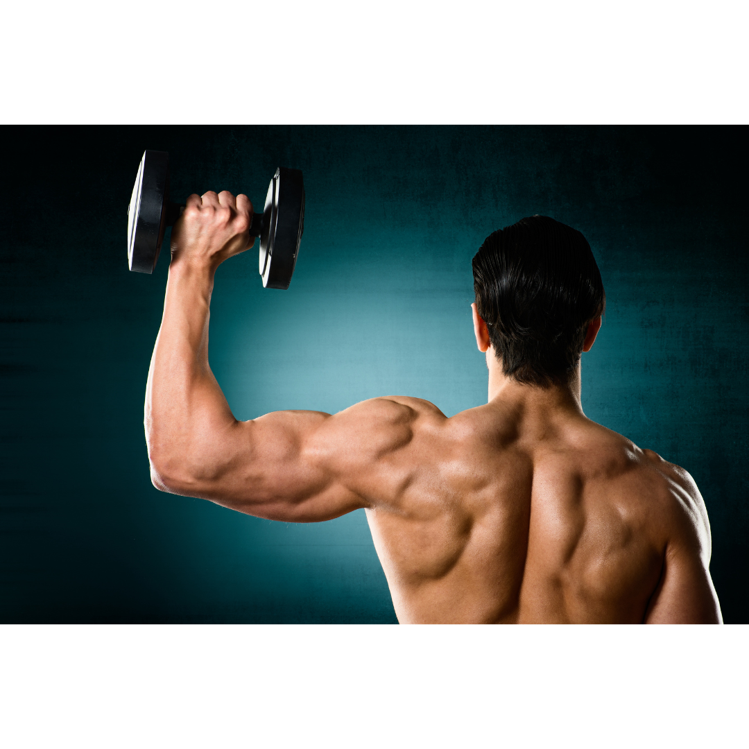 어깨넓어지는운동