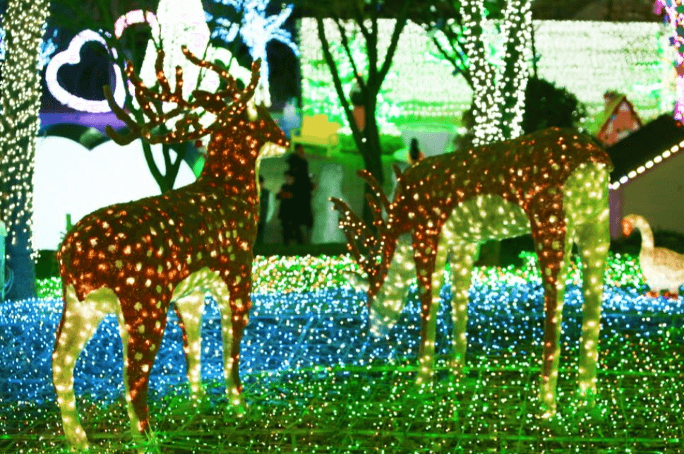 안산-빛축제-꽃사슴이미지