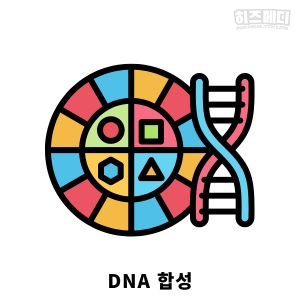 비타민 결핍 빈혈