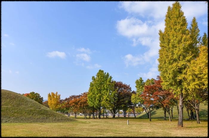 아이들과 떠나는 경주 가을 가족여행 (월드자동차박물관,경주월드,보문단지)
