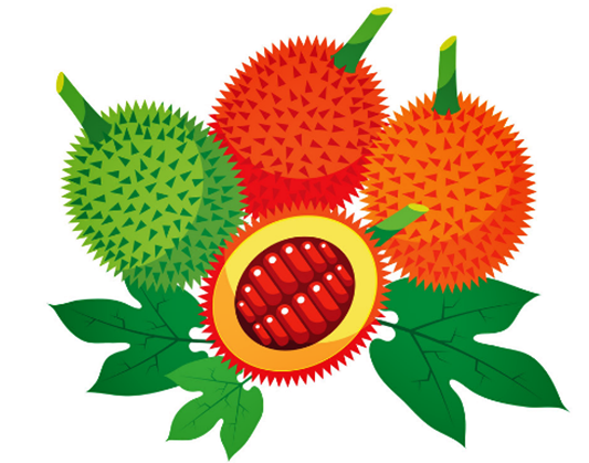 게욱,걱,걱효능,걱플루트,걱분말,GAC,GEUK,게욱효능,걱가루