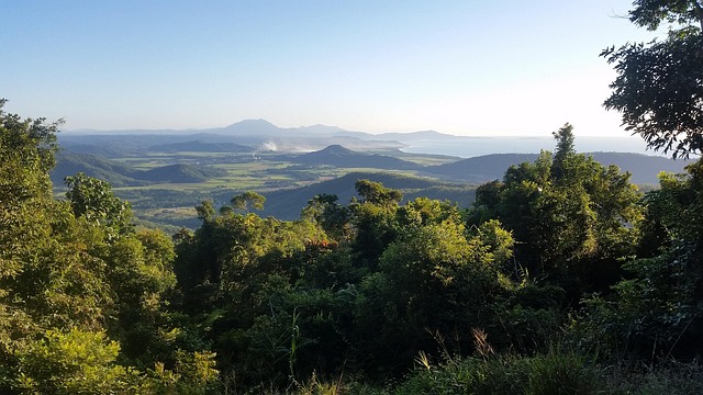 호주 카불처 숲 산 풍경