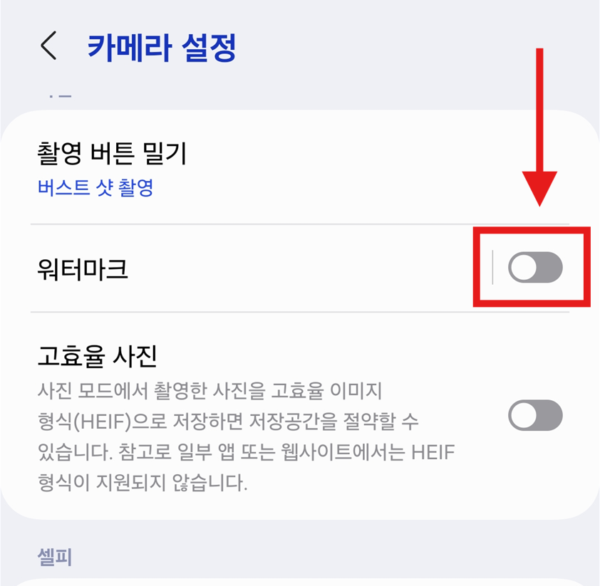 방법 3: 워터마크 메뉴 찾기